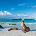 Galapagos Destination Guide