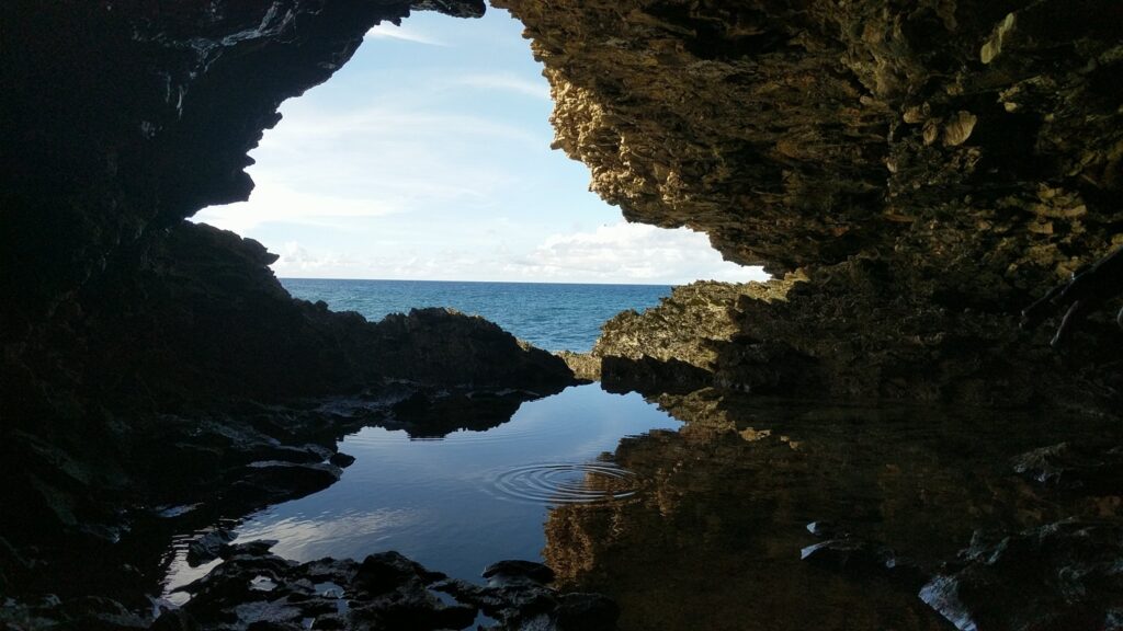 Animal Flower Cave in Barbados