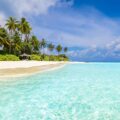 What to do in Barbados